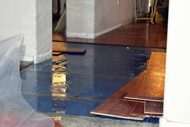 Professional Water Damage Restoration technician working in Saint Augustine, FL